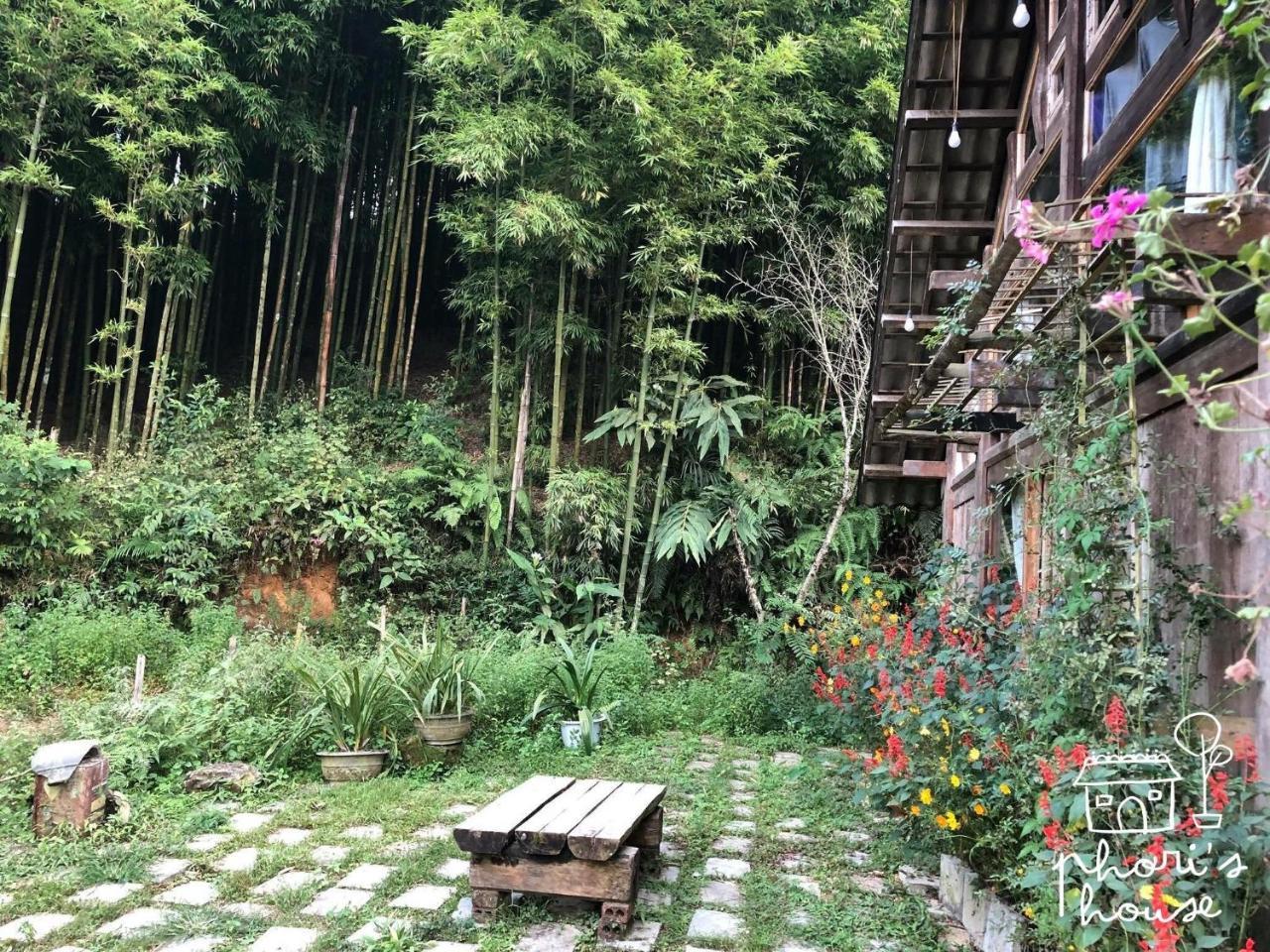 Phori'S House - Bamboo Forest Sa Pa Eksteriør bilde