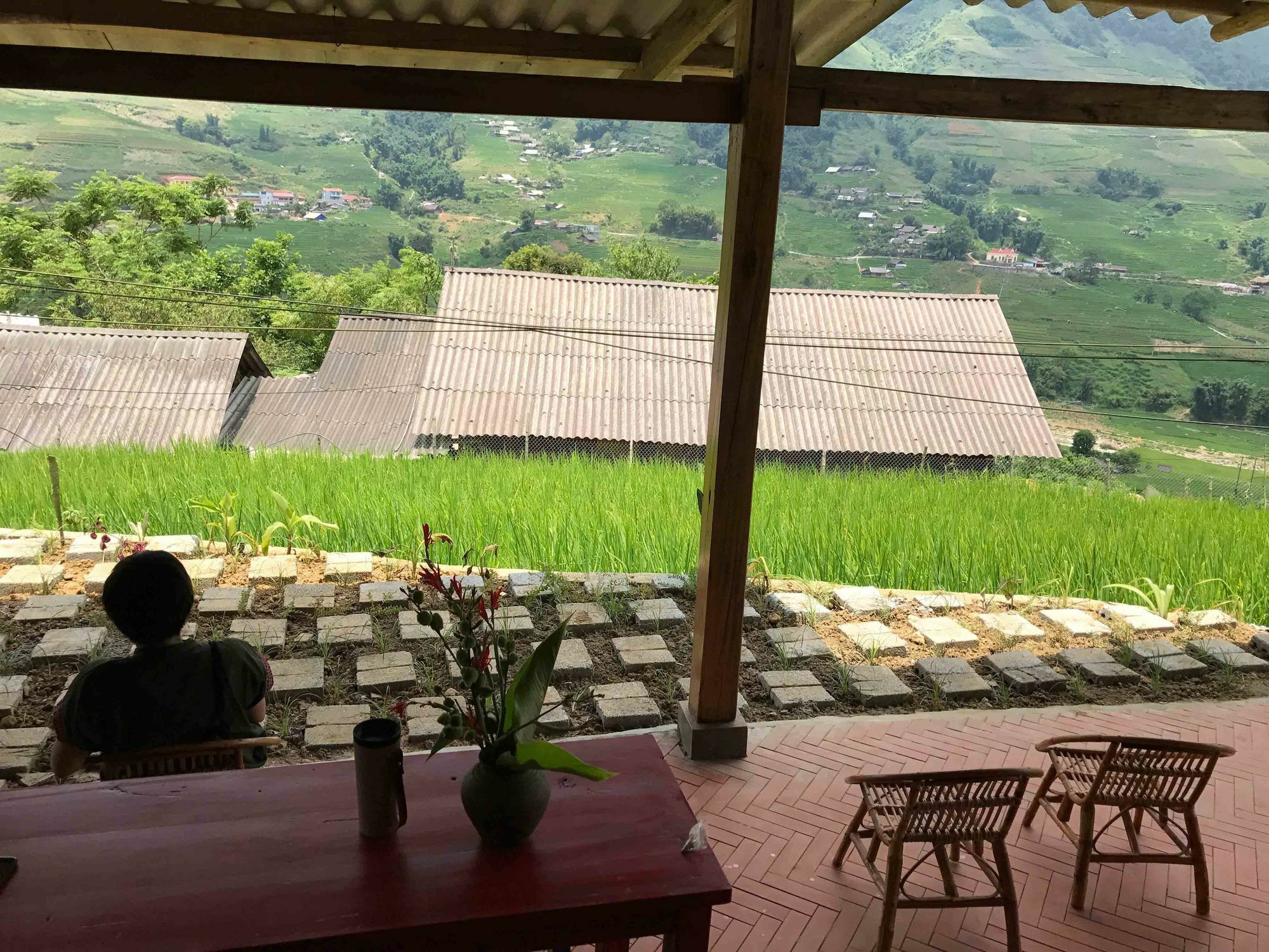 Phori'S House - Bamboo Forest Sa Pa Eksteriør bilde